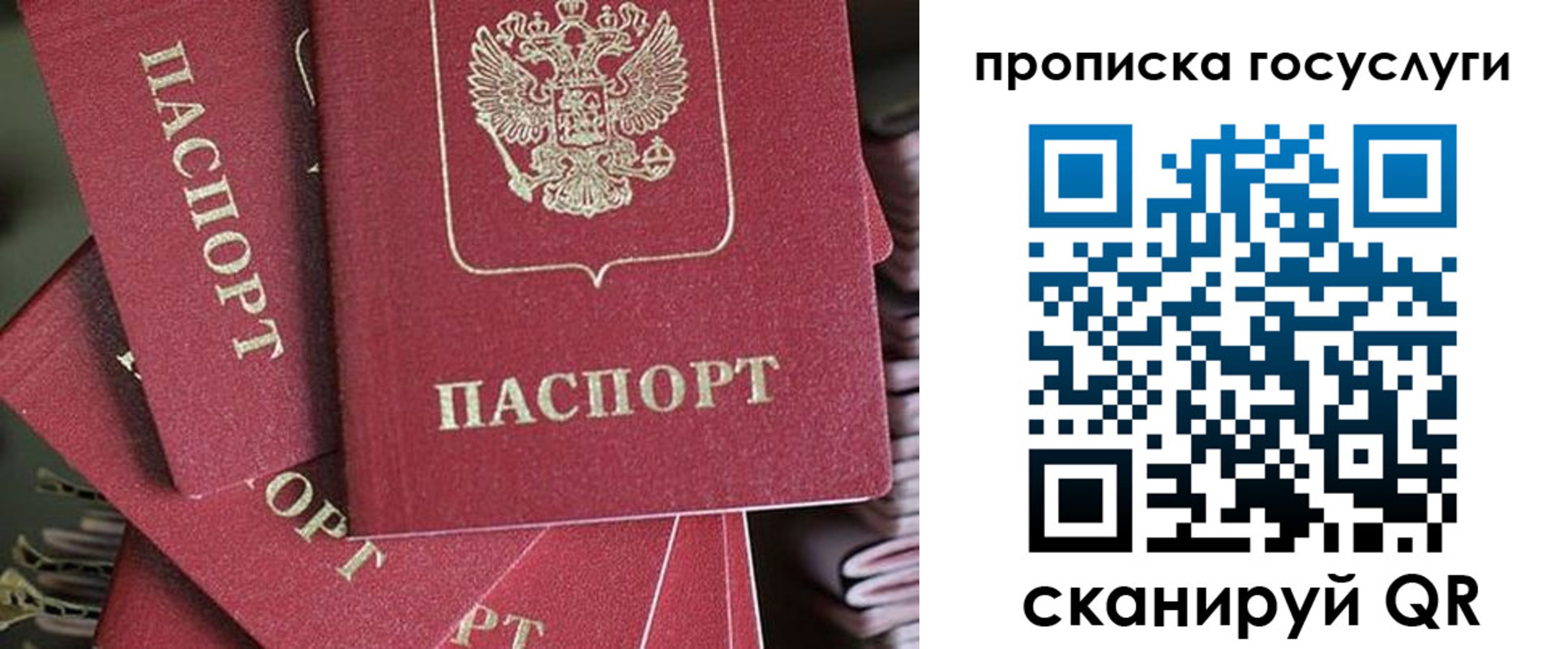 временная регистрация гарантия в Севастополе